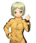  breasts bruce_lee's_jumpsuit clenched_hand face fist green_eyes green_hair hand_on_hip hips huang_baoling onsoku_maru short_hair simple_background smile solo tiger_&amp;_bunny wristband 