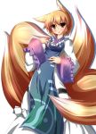  animal_ears blonde_hair fox_ears fox_tail highres liya solo tail touhou yakumo_ran yellow_eyes 