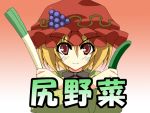  aki_minoriko blonde_hair cover crossed_arms cucumber food fruit grapes hat rapattu red_eyes short_hair solo spring_onion touhou translated 