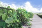  cloud leaf nackpan no_humans original overgrown photorealistic plant realistic road scenery sky vines 