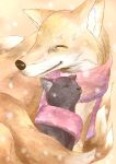  animal_ears cat chen chen_(cat) fox highres scarf shared_scarf touhou yakumo_ran yakumo_ran_(fox) yana_(nekoarashi) 