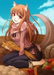  apple barefoot brown_hair food fruit ginta holo kneeling solo spice_and_wolf tail wheat wolf_ears wolf_tail yellow_eyes 