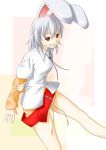  animal_ears belt bottomless bunny_ears casual dress_shirt highres izayoi_sakuya kemonomimi_mode niwatazumi no_pants red_eyes shirt short_hair silver_hair smile solo touhou 