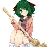  animal_ears bamboo_broom broom green_eyes green_hair kasodani_kyouko lowres sitting skirt solo touhou tsukikusa 