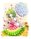  colored_pencil_(medium) flower flower_hair green_hair hair_flower hair_ornament kazami_yuuka lipstick makeup red_eyes red_lipstick ribbon short_hair takanashi_minato touhou traditional_media youkai 