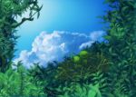  copyright_request leaf nature no_humans plant scenery sky tho_(plmness) tree 