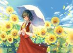  ascot cloud dress_shirt flower green_hair kazami_yuuka long_skirt parasol petals plaid plaid_skirt plaid_vest red_eyes shirt short_hair siro skirt skirt_set solo sunflower touhou umbrella vest youkai 