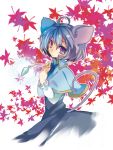  animal_ears grey_hair leaf maple_leaf mouse_ears mouse_tail nazrin red_eyes solo tail touhou yutsuka yutsuka_(amyucca) 