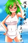 blush breasts green_hair kazami_yuuka ocean one-piece_swimsuit red_eyes roki_(hirokix) school_swimsuit short_hair solo swimsuit text touhou water white_school_swimsuit youkai zanshomimai 
