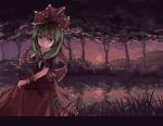  letterboxed nature nodata open_mouth reflection ribbon sunset touhou tree water 