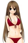  arms_behind_back bare_shoulders bikini black_eyes blush breasts brown_eyes brown_hair cleavage front-tie_top harurunn large_breasts light_smile long_hair navel original red_bikini simple_background skindentation smile solo striped striped_bikini striped_swimsuit swimsuit very_long_hair 