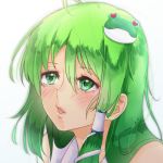  1girl blush green_eyes green_hair kochiya_sanae long_hair open_mouth pandora-ex solo touhou 