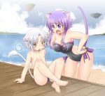  animal_ears arm_support beach blush breasts casual_one-piece_swimsuit cat_ears cat_tail cleavage dog_days gaul_galette_des_rois hands_on_hips large_breasts leaning_forward lion_ears lion_tail ocean okino_matsushiro one-piece_swimsuit open_mouth pier purple_eyes purple_hair scolding sitting speedo swimsuit tail violet_(dog_days) violet_eyes white_hair yellow_eyes 