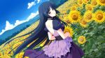  dress dutch_angle field flower flower_field game_cg hill kimi_wo_aogi_otome_wa_hime_ni leaf looking_back nature satou_satoru sky sunflower takamine_kana tree wallpaper 