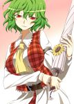  ascot belt breasts closed_umbrella flower green_hair kazami_yuuka kumadano plaid plaid_skirt plaid_vest red_eyes short_hair skirt skirt_set smile solo sunflower touhou umbrella untucked vest youkai 