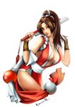  black_eyes black_hair breasts cleavage fan fatal_fury gloves japanese_clothes king_of_fighters legs long_hair obi pon ponytail rope shiranui_mai simple_background snk solo 