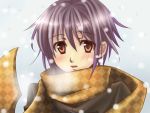  brown_eyes brown_hair coat nagato_yuki nagato_yuki_(shoushitsu) purple_hair ren_lowol scarf short_hair snow suzumiya_haruhi_no_shoushitsu suzumiya_haruhi_no_yuuutsu 