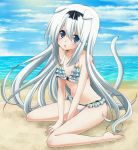  b-cat beach bikini blue_eyes dog_ears frills long_hair original ruffle_bikini sitting swimsuit tail wariza white_hair 