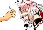  a.f.o angry bare_shoulders clenched_teeth detached_sleeves face fangs hands hat inubashiri_momiji pink_hair profile red_eyes solo squiggle teeth tokin_hat touhou transparent_background 