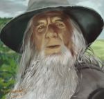  bust close-up face facial_hair flameshot gandalf grey_eyes hat highres ian_mckellen long_hair lord_of_the_rings male old_man portrait realistic solo white_hair wizard_hat 