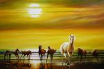  beach horse horses m-ohneta sand sun waves 