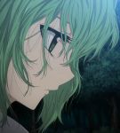  green_eyes green_hair ichiban_ushiro_no_daimaou korone messy_hair profile screencap solo 