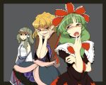  blonde_hair border chiyoshi_(sevendw) detached_sleeves dress frog front_ponytail green_eyes green_hair hair_ornament hair_ribbon kagiyama_hina kochiya_sanae long_hair mizuhashi_parsee multiple_girls open_mouth pointy_ears ribbon simple_background snake standing toe5278 touhou 