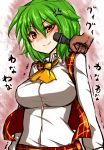  annoyed ascot breasts dress green_hair kazami_yuuka large_breasts microphone plaid plaid_skirt plaid_vest poking red_eyes roki_(hirokix) skirt skirt_set taut_shirt touhou vest youkai 