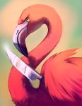  atomicfishbowl bird copyright_request flamingo knife no_humans solo 