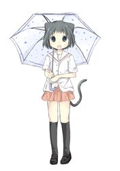  animal_ears bad_id cat_ears cat_tail fang highres ikeda_kana original saki sakuraba_hikaru_(artist) tail umbrella 