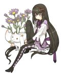  akemi_homura black_hair flower kyubey leg_hug light_smile long_hair m-minato magical_girl mahou_shoujo_madoka_magica no_nose pantyhose purple_eyes ribbon simple_background sitting violet_eyes 