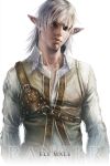  elf fantasy highres lineage male original pointy_ears realistic sae_(artist) sae_(revirth) tunic white_hair 