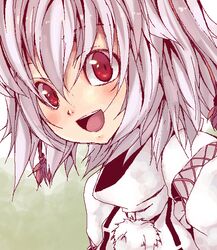  fukai_ryousuke inubashiri_momiji red_eyes silver_hair solo touhou 