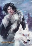  black_hair breath ghost_(a_song_of_ice_and_fire) ghost_(wolf) jon_snow male snow wolf yunvshen 