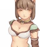  animal_ears bad_id breasts brown_hair bust cat_ears character_request cleavage collar detached_sleeves final_fantasy final_fantasy_xi midriff mithra short_hair solo tyamaguch yellow_eyes 
