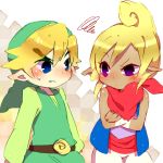  blue_eyes blush hat link nintendo pointy_ears purple_eyes scarf tetra the_legend_of_zelda toon_link ukata violet_eyes wind_waker 