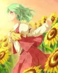  ascot asu_tora flower green_hair kazami_yuuka nature profile red_eyes short_hair skirt skirt_set smile solo sunflower touhou youkai 