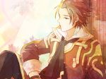  alvin_(tales_of_xillia) bad_id brown_eyes brown_hair male matsuko scarf solo tales_of_(series) tales_of_xillia 