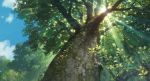  highres karigurashi_no_arrietty no_humans official_art perspective scenery studio_ghibli sun sunbeam sunlight traditional_media tree 