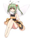  antennae bare_legs barefoot bee_girl dress dummy04 feet flat_chest fur_collar green_hair hair_bobbles hair_ornament insect_girl insect_wings long_hair naso4 original panties pantyshot payot pointy_ears red_eyes solo twintails underwear wings 