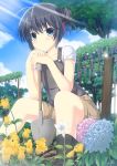  black_eyes black_hair cloud flower footwear garden hair_bun hair_ribbon highres hydrangea looking_at_viewer mizunashi_kenichi original ribbon shorts shovel sitting sky smile socks soil solo sunbeam sunlight tree worktool 