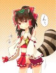  animal_ears brown_hair cosplay detached_sleeves dress dress_lift futatsuiwa_mamizou hakurei_reimu hakurei_reimu_(cosplay) leaf leaf_on_head midriff raccoon_ears raccoon_tail red_eyes ribbon skirt skirt_lift solo tail taker touhou transformation 