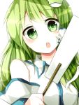  blush bust detached_sleeves face frog gohei green_eyes green_hair hair_ornament hair_tubes hanaon highres kochiya_sanae long_hair open_mouth smile snake solo touhou 