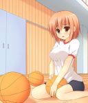  bike_shorts blush breasts brown_eyes brown_hair gym_uniform kashii_airi megarisu open_mouth ro-kyu-bu! rou-kyuu-bu! short_hair sitting solo sweatdrop wariza 