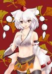  adapted_costume animal_ears bad_id bare_shoulders black_legwear breasts cleavage crop_top detached_sleeves hat inubashiri_momiji kuga_zankurou large_breasts looking_at_viewer megaromax midriff no_panties open_mouth red_eyes short_hair sideboob silver_hair simple_background smile solo tail thigh-highs thighhighs tokin_hat touhou wolf_ears wolf_tail 