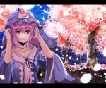  blush butterfly cherry_blossoms dress hat letterboxed petals pink_eyes pink_hair saigyouji_yuyuko short_hair smile solo sparkle touhou triangular_headpiece velia 