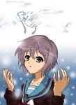  brown_eyes cardigan daiyoru fading glasses glasses_off grey_hair highres nagato_yuki nagato_yuki_(shoushitsu) school_uniform short_hair suzumiya_haruhi_no_shoushitsu suzumiya_haruhi_no_yuuutsu 