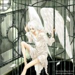  angel angel_wings cage cross kisumi_halukase tagme white_hair wings 