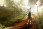  akaikitsune animal_ears bad_id basket brown_dress capelet dowsing_rod dress fog forest grey_eyes highres jewelry mouse mouse_ears mouse_tail nature nazrin necklace pendant red_eyes solo tail touhou 
