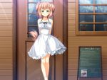  animal_ears brown_hair doggirl dress game_cg green_eyes koya_chachako otomimi_infinity ribbons tail 